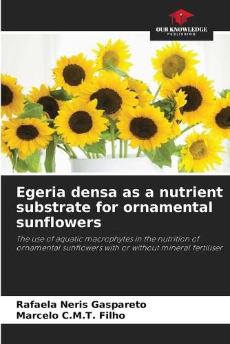 Cover image for Egeria densa as a nutrient substrate for ornamental sunflowers