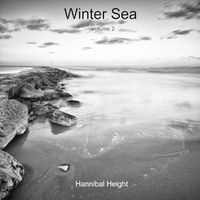 Cover image for Winter Sea - Volume 2