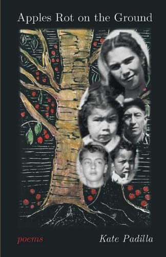 Cover image for Apples Rot on the Ground