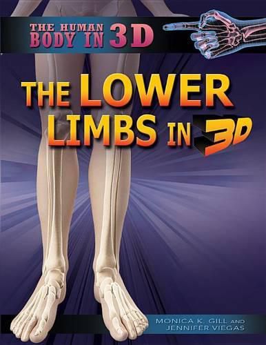 The Lower Limbs in 3D