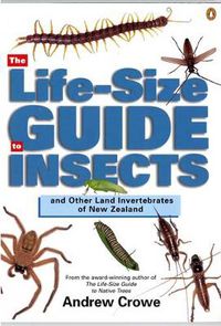 Cover image for The Life-Size Guide to Insects: and other land invertebrates of New Zealand