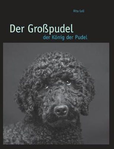 Cover image for Der Grosspudel: der Koenig der Pudel