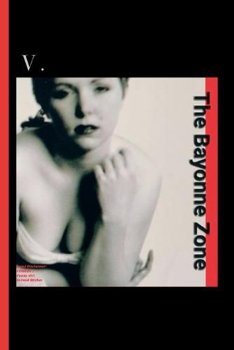 Cover image for The Bayonne Zone