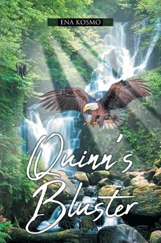 Cover image for Quinn's Bluster