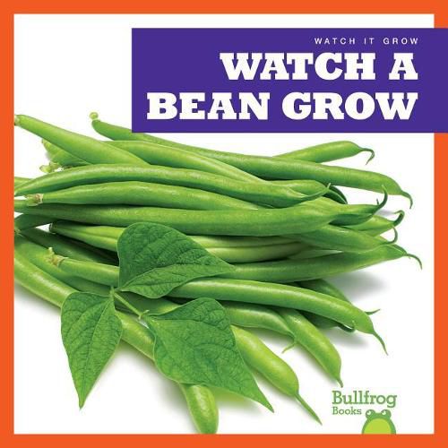 Cover image for Watch a Bean Grow