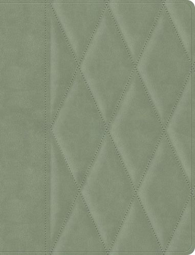Cover image for CSB Notetaking Bible, Large Print Edition, Sage Suedesoft Leathertouch Over Board