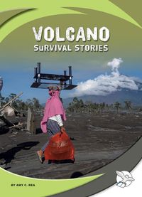 Cover image for Volcano Survival Stories