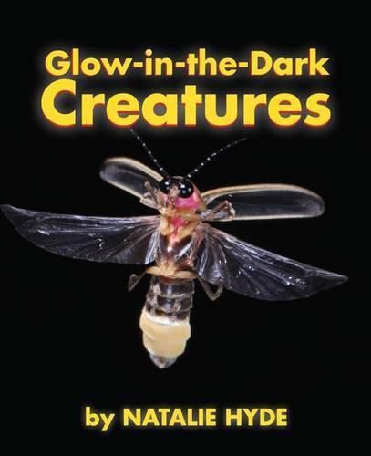 Cover image for Glow-in-the-Dark Creatures