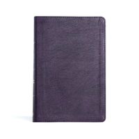 Cover image for CSB Giant Print Reference Bible, Plum LeatherTouch