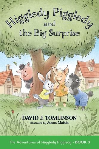 Cover image for Higgledy Piggledy and the Big Surprise