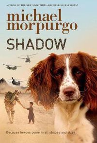 Cover image for Shadow