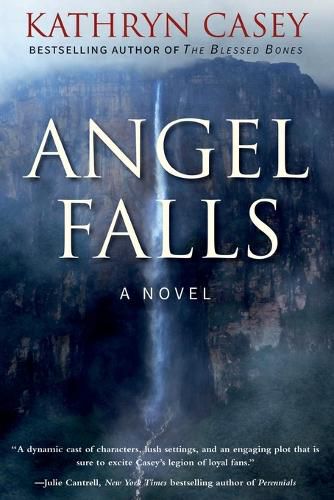 Cover image for Angel Falls