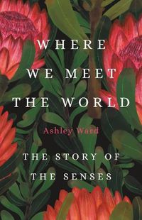 Cover image for Where We Meet the World: The Story of the Senses
