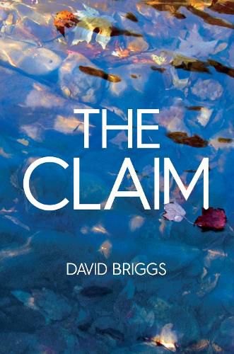 Cover image for The Claim