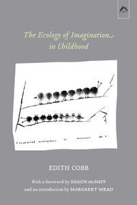 Cover image for The Ecology of Imagination in Childhood
