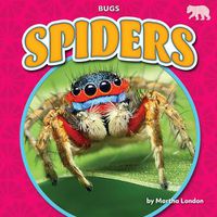 Cover image for Spiders