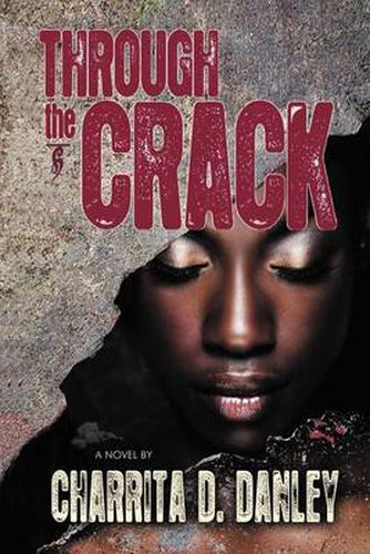 Cover image for Through the Crack