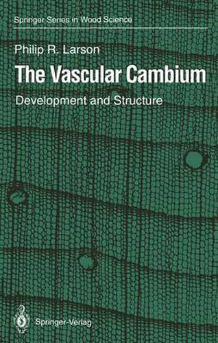 Cover image for The Vascular Cambium: Development and Structure