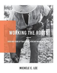 Cover image for Working The Roots: Over 400 Years of Traditional African American Healing