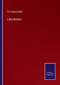 Cover image for Little Brother