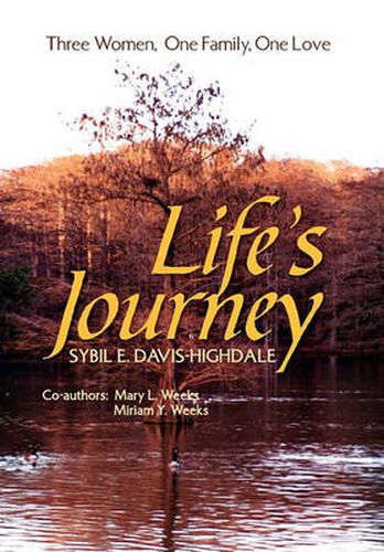 Cover image for Life's Journey