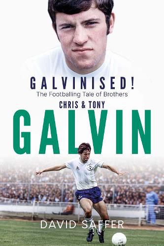 Cover image for Galvinised