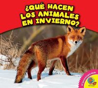 Cover image for Que Hacen Los Animales En Invierno?