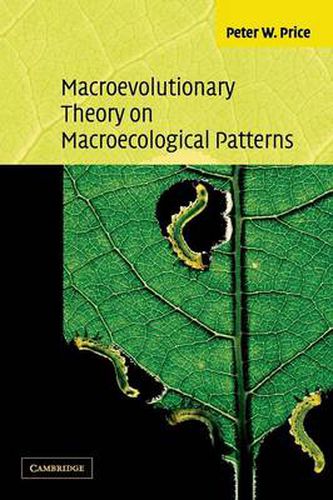 Cover image for Macroevolutionary Theory on Macroecological Patterns