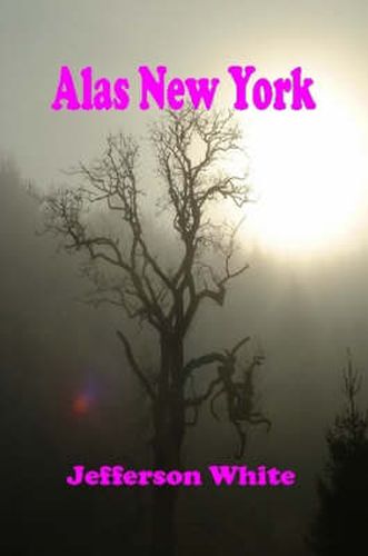 Cover image for Alas New York