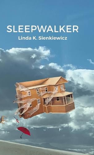 Cover image for Sleepwalker