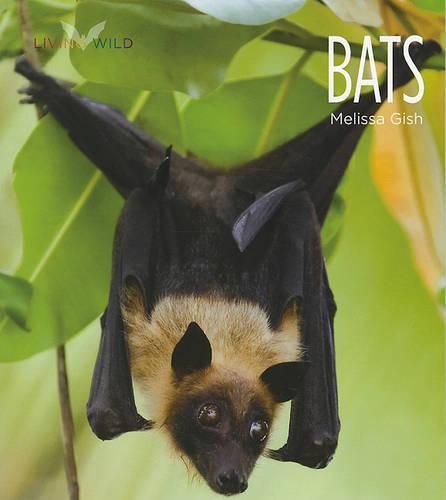 Cover image for Living Wild: Bats