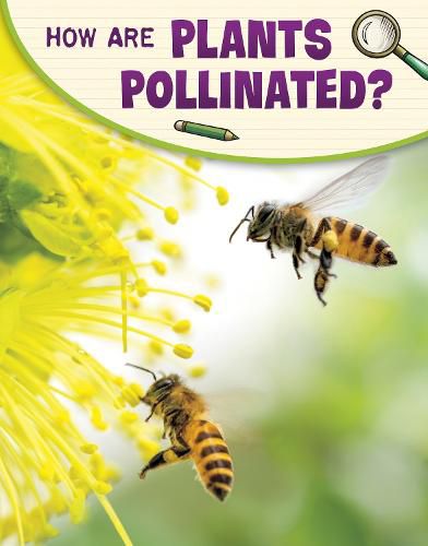 Cover image for How Are Plants Pollinated?