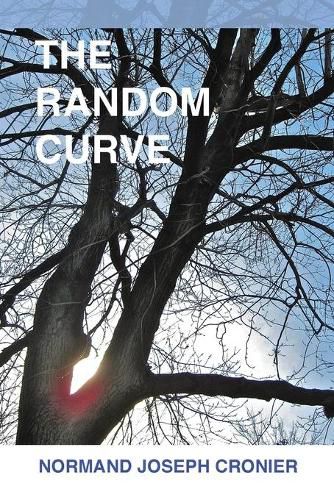 Cover image for The Random Curve