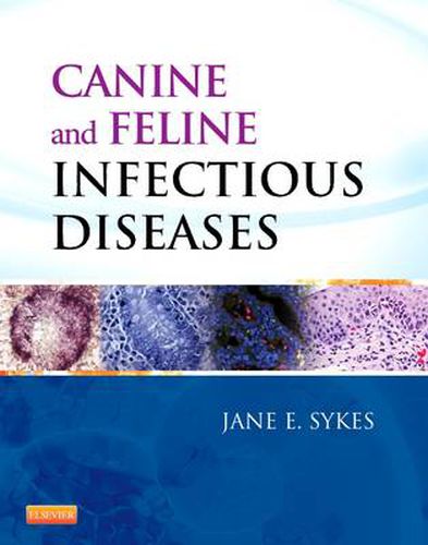 Cover image for Canine and Feline Infectious Diseases