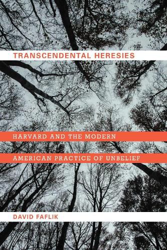 Cover image for Transcendental Heresies: Harvard and the Modern American Practice of Unbelief