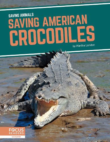 Cover image for Saving Animals: Saving American Crocodiles