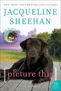Cover image for Picture This: A Novel