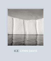 Cover image for Ice: 1986-2007