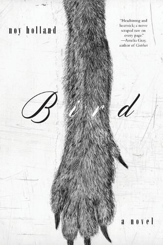 Cover image for Bird: A Novel