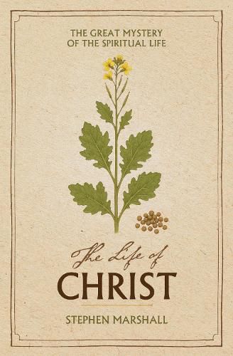 Cover image for The Life of Christ