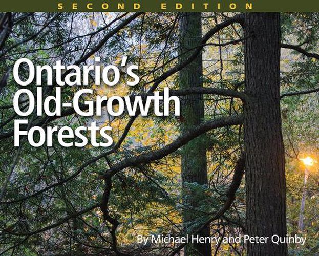 Cover image for Ontario's Old-Growth Forests