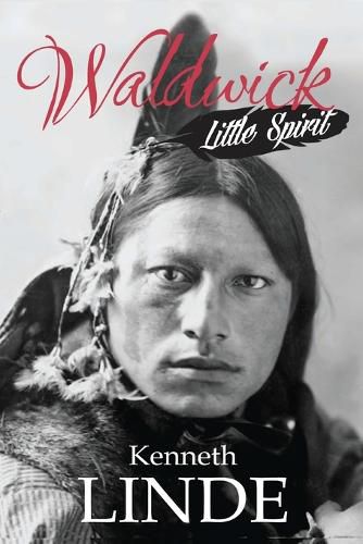 Cover image for Little Spirit
