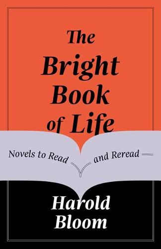 The Bright Book of Life: Novels to Read and Reread