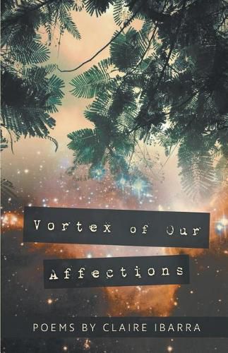 Cover image for Vortex of Our Affections