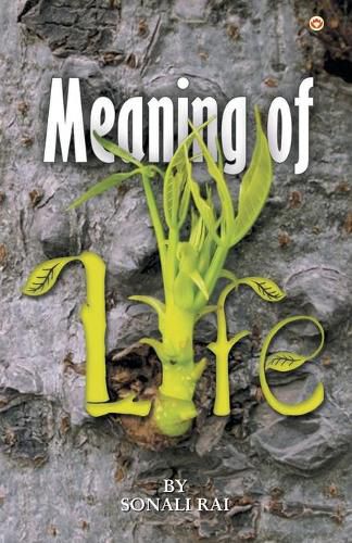 Cover image for Meaning of Life