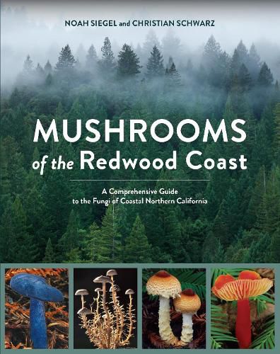 Cover image for Mushrooms of the Redwood Coast: A Comprehensive Guide to the Fungi of Coastal Northern California