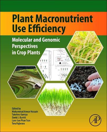 Cover image for Plant Macronutrient Use Efficiency: Molecular and Genomic Perspectives in Crop Plants