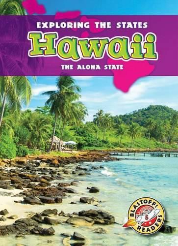 Cover image for Hawaii: The Aloha State