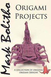 Cover image for Origami Projects