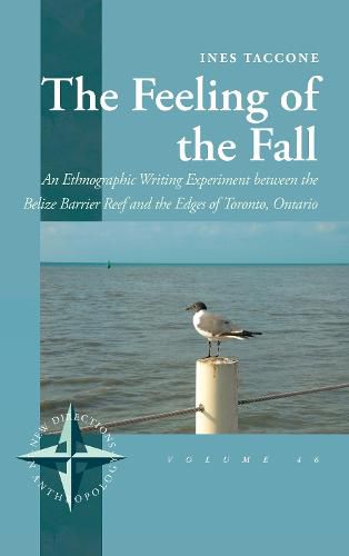 Cover image for The Feeling of the Fall